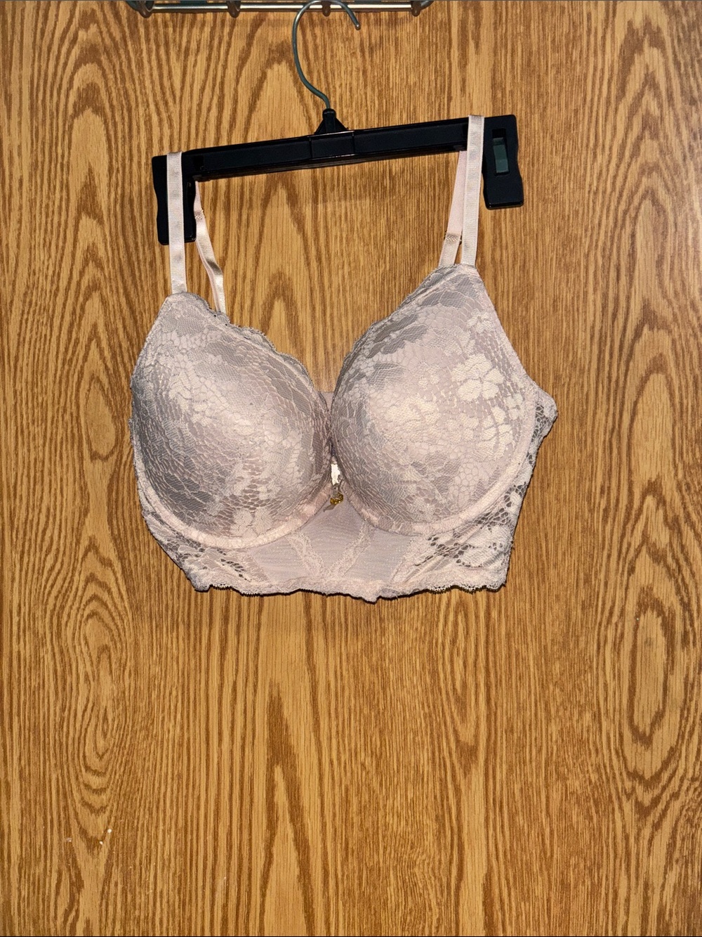 Daisy Fuentes Blush Lace Longline Push-Up Bra